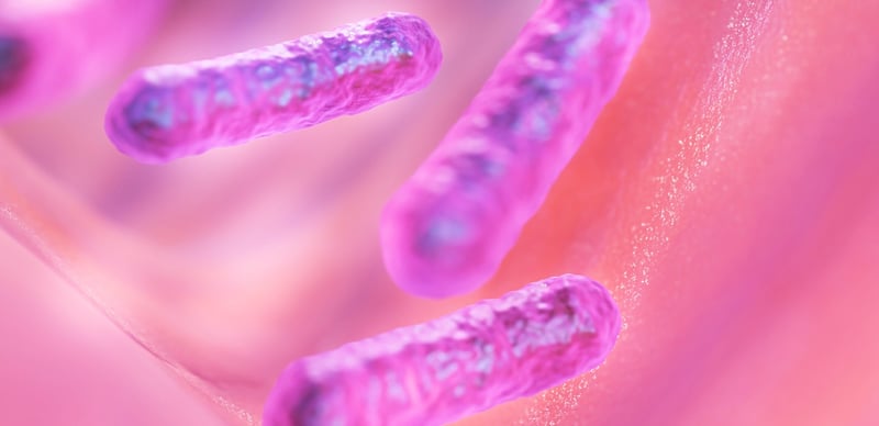 Microbial Life